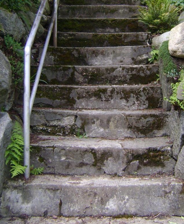 before, landscape architecture, cement stairway with moss