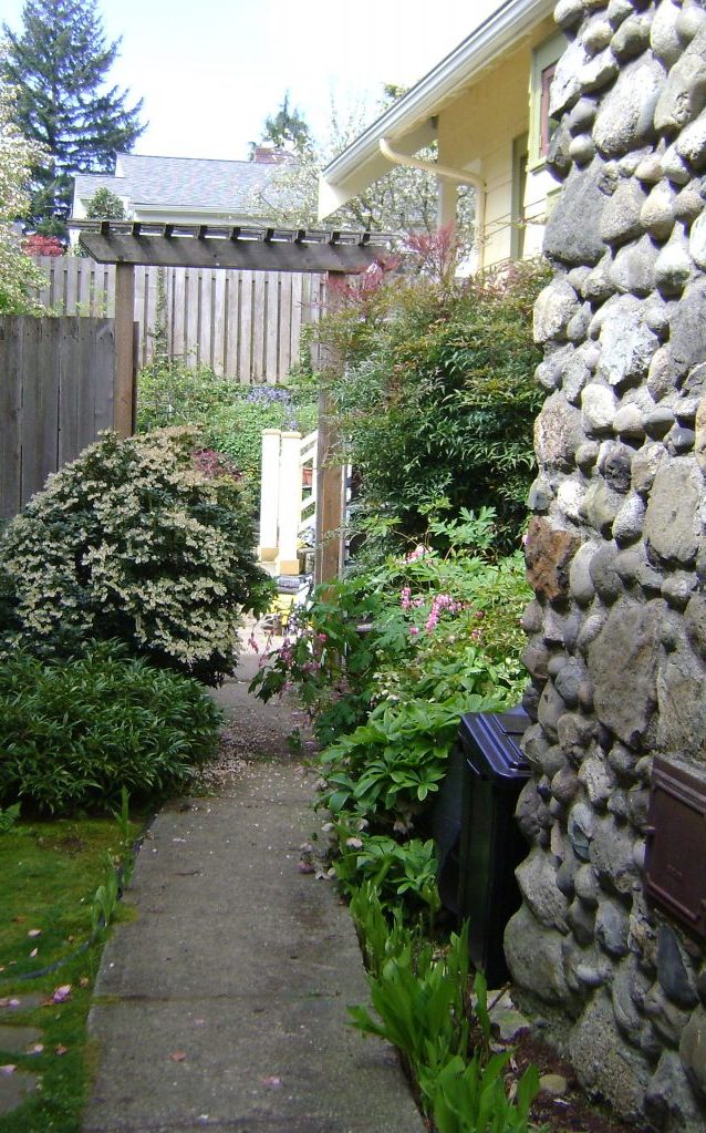 cement pathway with local vegetation